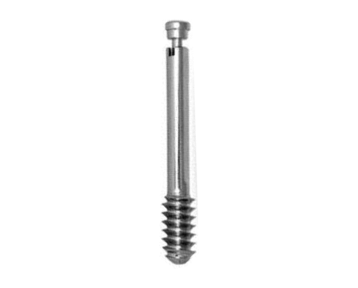 LEG SCREW-DHS SCREW