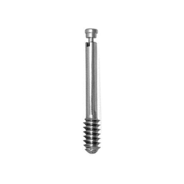 LEG SCREW-DHS SCREW