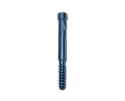 LEG SCREW-PFN BOL 8MM